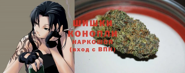 индика Балабаново