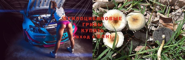бошки Дмитров