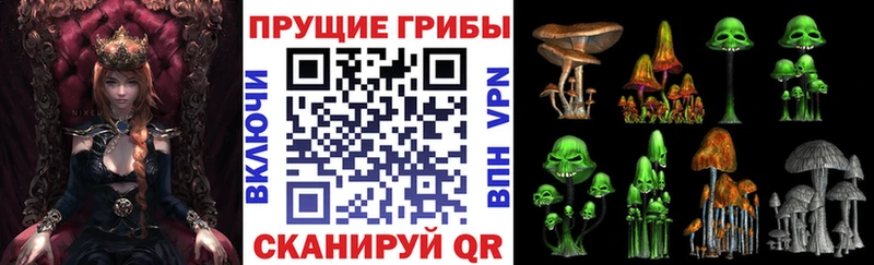 Галлюциногенные грибы GOLDEN TEACHER  Купить закладки  Сычёвка 