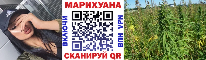 Канабис план  Купить где  Сычёвка 